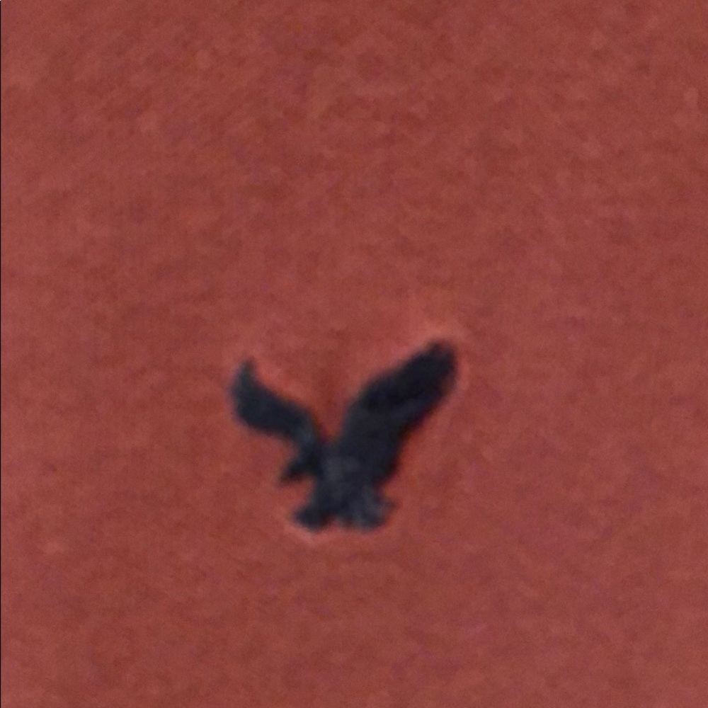Men’s size medium American Eagle SS Polo - Picture 2 of 3